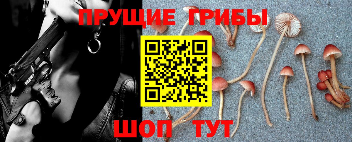 Меф МЯУ МЯУ кристаллы  КОКАИН  Бошки Шишки  А ПВП СК   Качканар  Вход с VPN  Купить закладку  ГАШ 