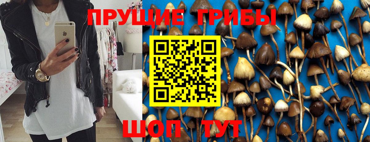 Качканар  Псилоцибиновые грибы мицелий  Галлюциногенные грибы Cubensis  Вход с VPN 
